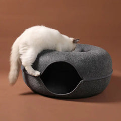 3-in-1 Interactive Cat Bed, House, & Tunnel