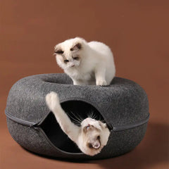 3-in-1 Interactive Cat Bed, House, & Tunnel